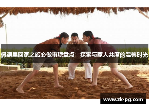 佩德里回家之旅必做事项盘点：探索与家人共度的温馨时光