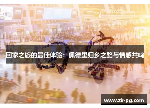 回家之旅的最佳体验：佩德里归乡之路与情感共鸣