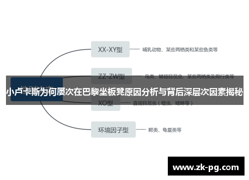 小卢卡斯为何屡次在巴黎坐板凳原因分析与背后深层次因素揭秘