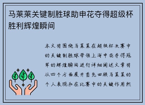 马莱莱关键制胜球助申花夺得超级杯胜利辉煌瞬间 马莱莱关键制胜球助申花夺得超级杯胜利辉煌瞬间